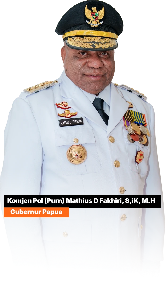 Gubernur Provinsi Papua