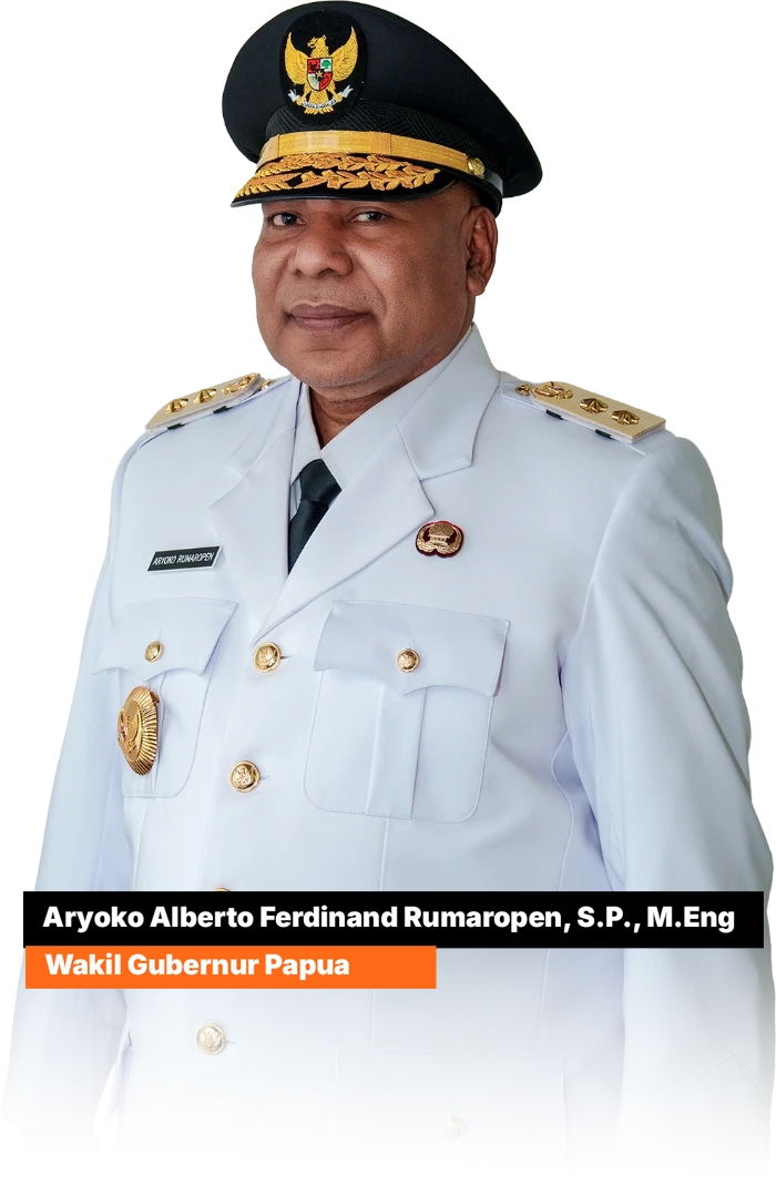 Wakil Gubernur Provinsi Papua